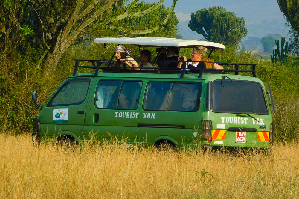 Tourists on a game drive