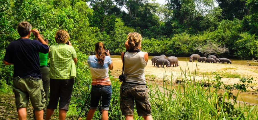 Tourists in Queen Elizabeth national watching hippos in Ishasha, southern sector.